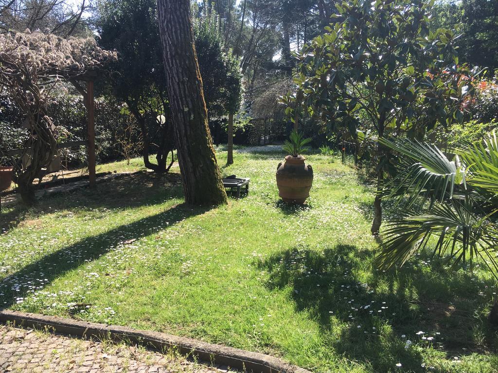 Old Town In The Green: Federico'S Apartment. Floransa Dış mekan fotoğraf